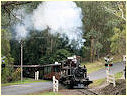 Na7,Menzies Creek