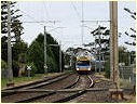 Comeng,EMU,Brighton Beach,Hampton
