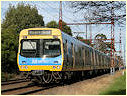 Comeng,EMU,Cheltenham