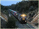 G515,X31,S313,Elphinstone,Castlemaine
