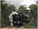 K190,Maldon,Muckleford