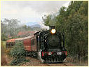 K190,Castlemaine,Muckleford