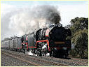 R761,R707,Clarkefield,Riddells Creek