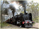 K190,J515,Castlemaine,Muckleford