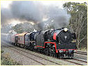 R707,R711,Broadford,Tallarook