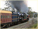 R707,R711,Broadford,Tallarook