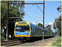 Comeng,EMU,Mentone,Cheltenham