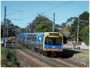 Comeng,EMU,Sandringham,Hampton