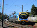 Comeng,EMU,Sandringham,Hampton