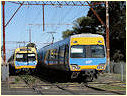 comeng,EMU,Cheltenham