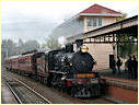 D3 639,Castlemaine