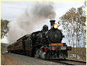 D3 639,Castlemaine,Ravenswood