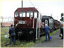 M231,Newport