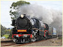 R761,R711,Trafalgar,Moe