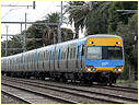 Comeng,EMU,Glenhuntly