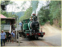 ,Tasmania