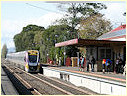 Velocity,DMU,Yarragon