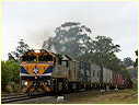 VL356,Drouin,Longwarry
