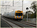 Comeng,Emu,Clayton