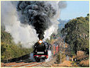 R711,R761,Drouin,Longwarry