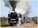 R711,R761,Drouin,Longwarry
