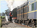 R711,R761,Drouin,Longwarry