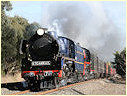 R711,R761,Trafalger,Moe