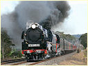R711,R761,Drouin,Longwarry