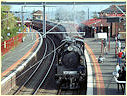 A2986,K190,Brighton Beach