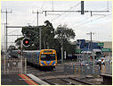 Comeng,EMU,Cheltenham