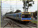 Comeng,EMU,Cheltenham