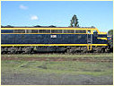 S313,Newport