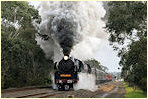 R711,R761,Longwarry
