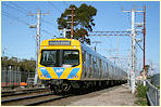 Comeng,EMU,Cheltenham