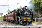 A2 986,K190,Middle Brighton,Brighton Beach
