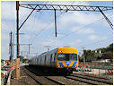 Comeng,EMU,Mentone