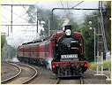 K153,K190,Elsternwick,Gardenvale
