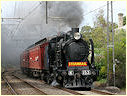 K153,K190,Elsternwick,Gardenvale
