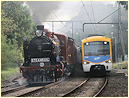 K190,Siemens,EMU,Elsternwick,Gardenvale