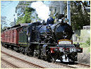 K153,K183,Hampton,Sandringham