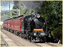 K150,K183,North Brighton,Middle Brighton
