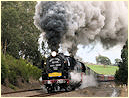 R711,R761,Longwarry,Drouin