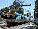 Comeng,EMU,Cheltenham,Southland