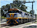 VL357,VL356,G515,Cheltenham,Southland