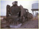 K187,Foster