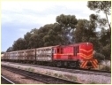 501,North Adelaide