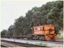 846,North Adelaide