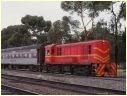 518,North Adelaide
