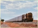 605,Crystal Brook