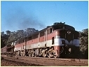 933,957,Shepherds Hill Tunnel